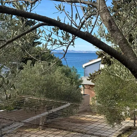 Mobile House Maslina *