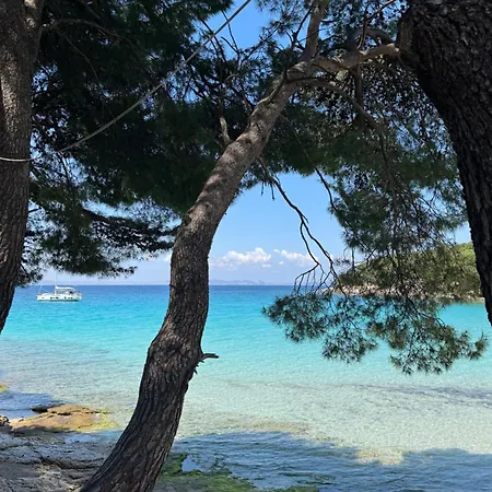 Mobile House Maslina Lejlighed